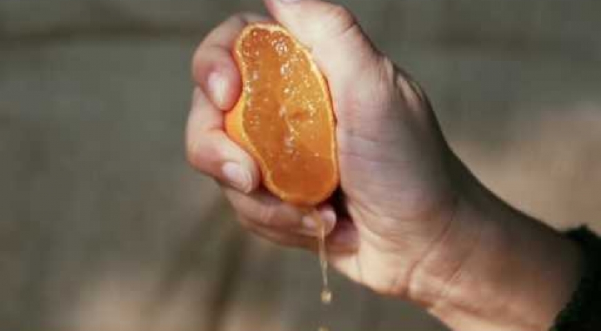 Embedded thumbnail